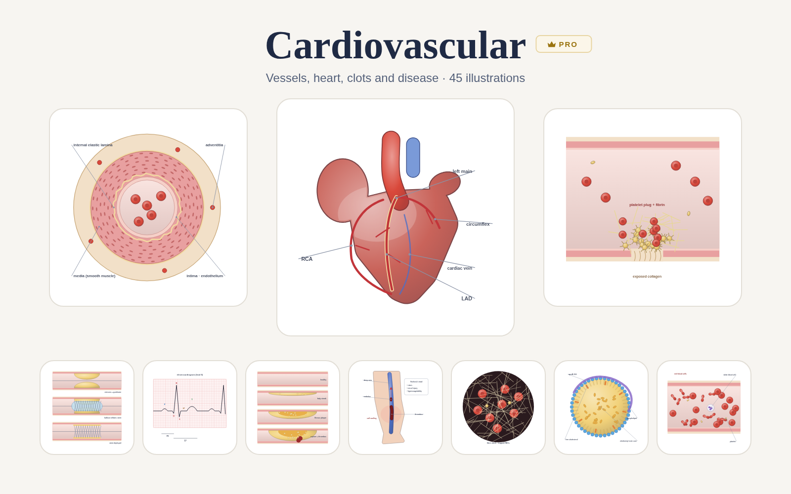Cardiovascular pack cover