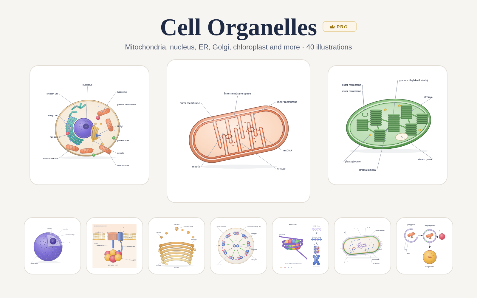 Cell Organelles pack cover