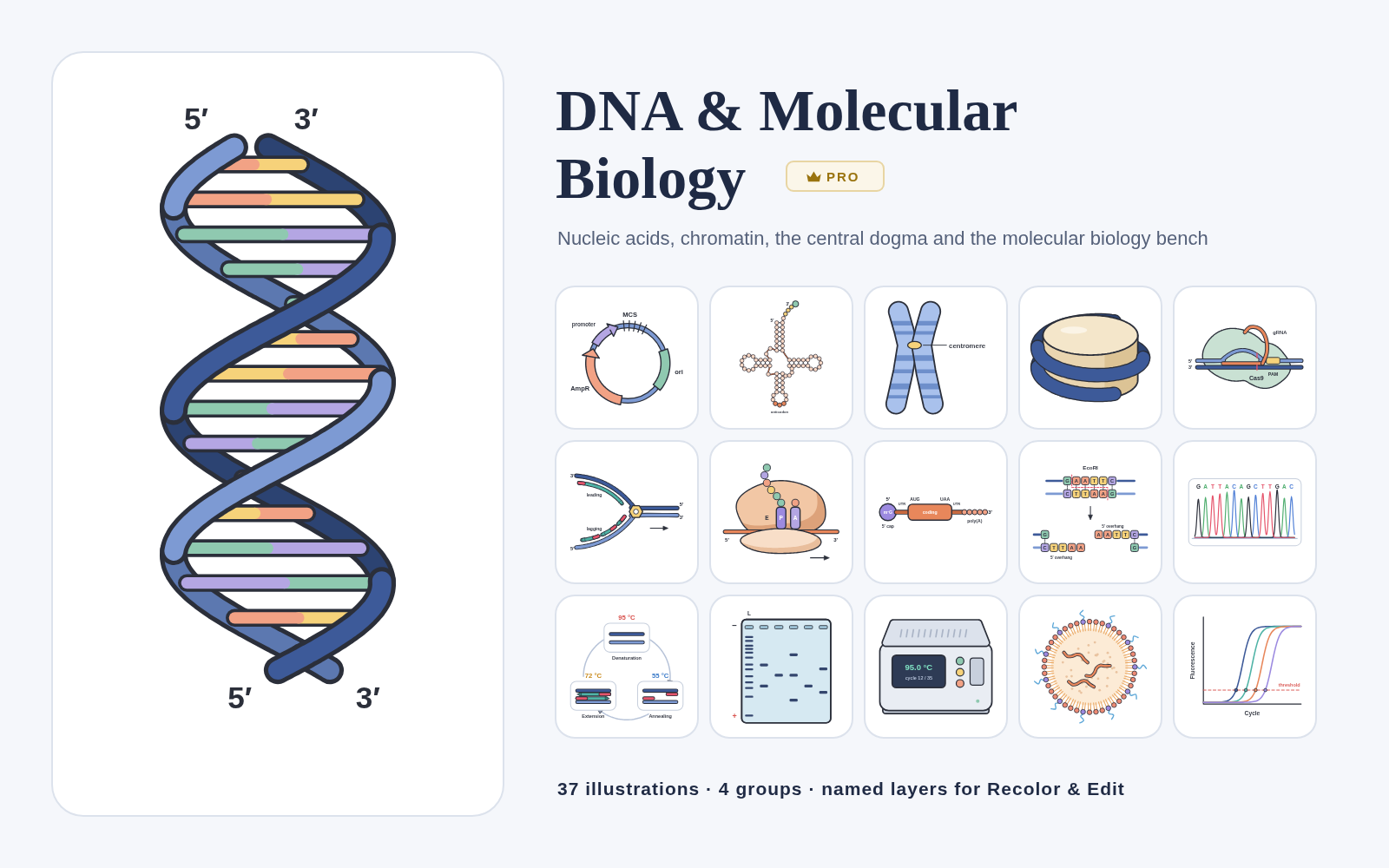 DNA and Molecular Biology pack cover