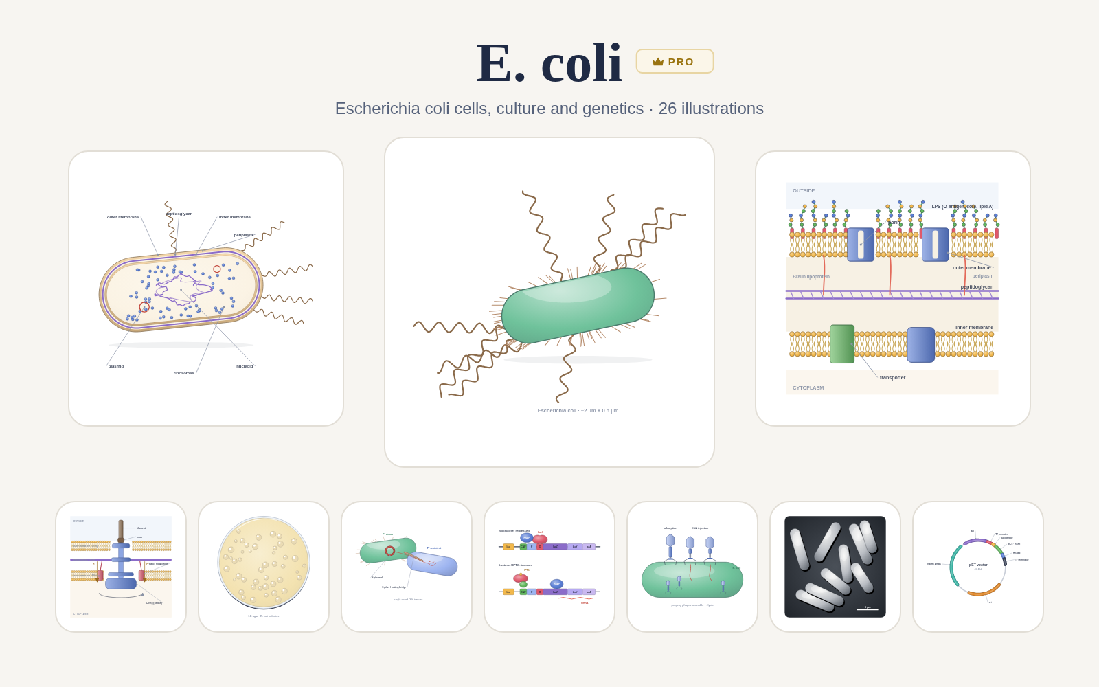 E. coli pack cover