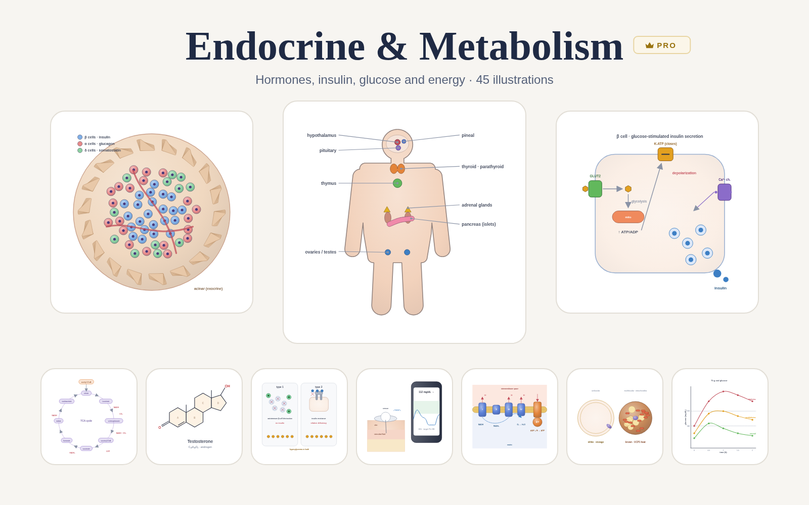 Endocrine & Metabolism pack cover
