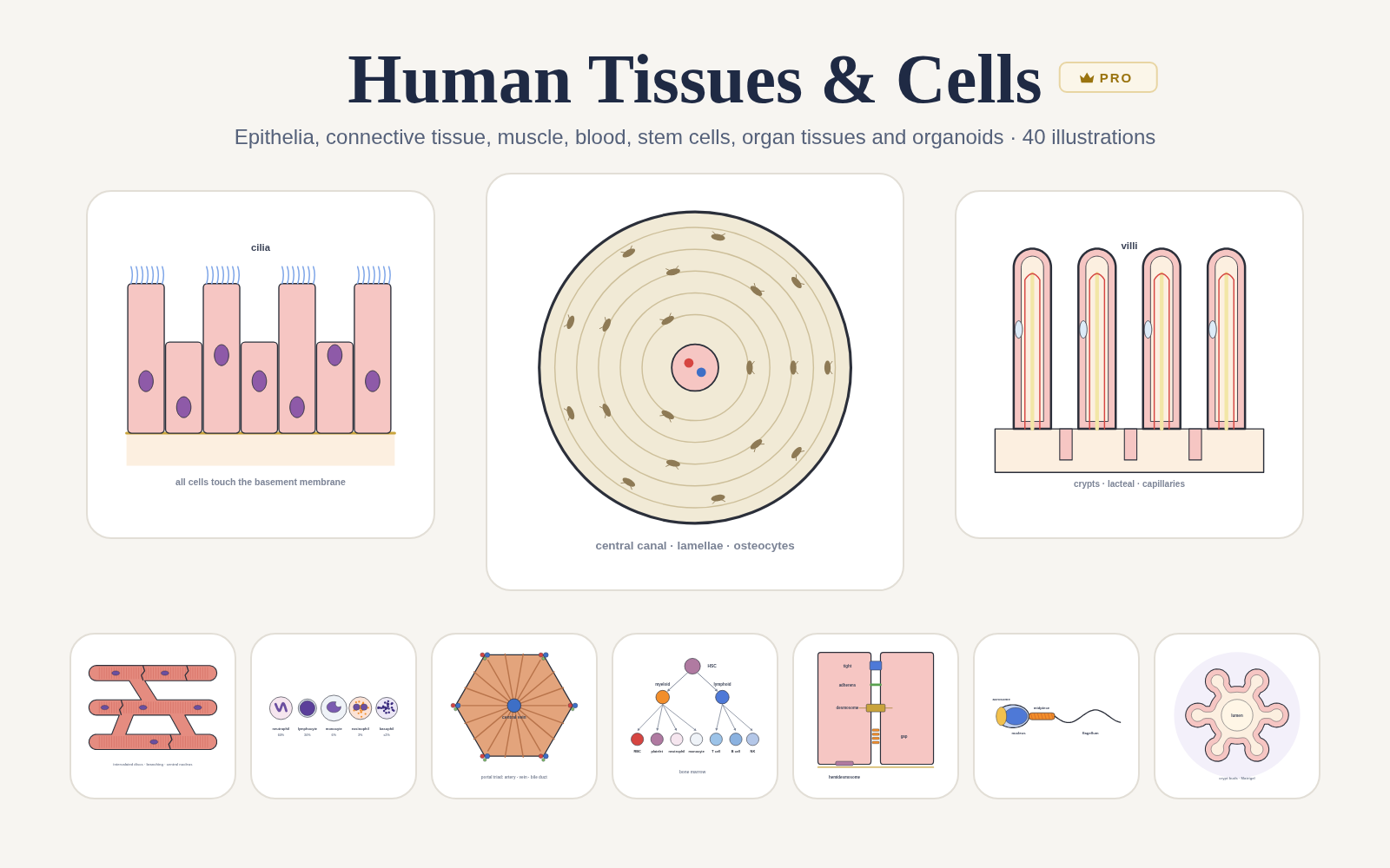 Human Tissues & Cells pack cover