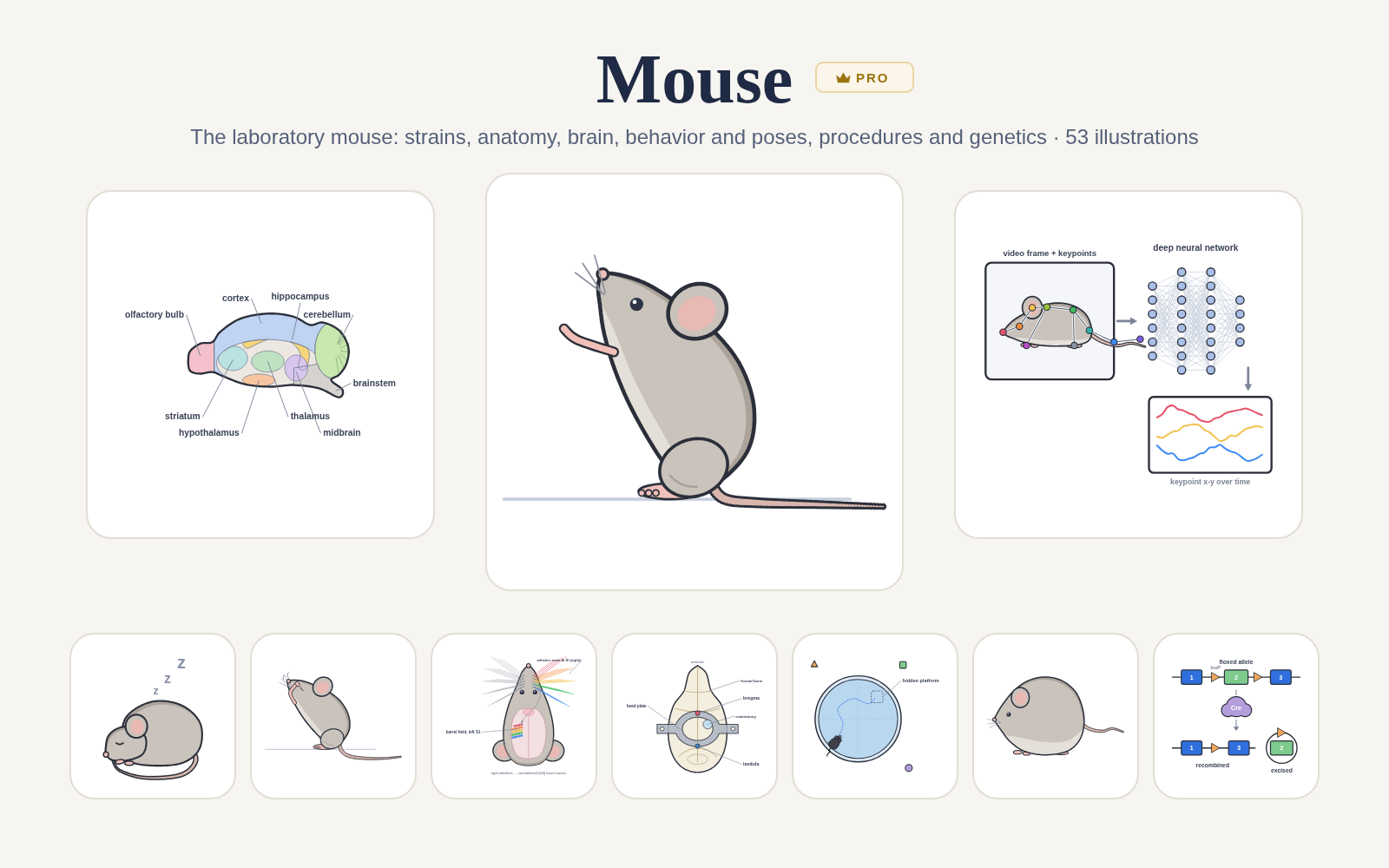 Mouse pack cover