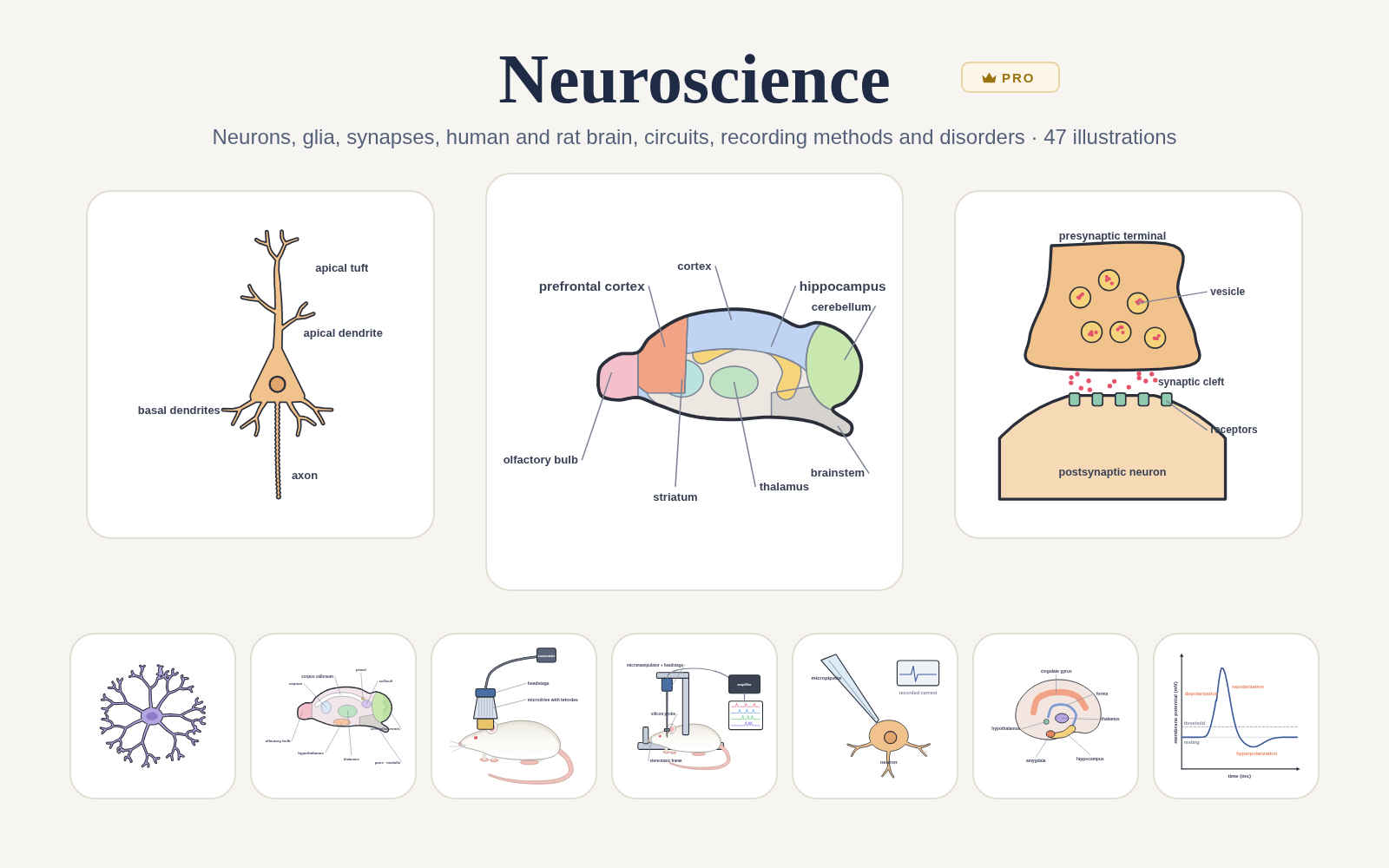 Neuroscience pack cover