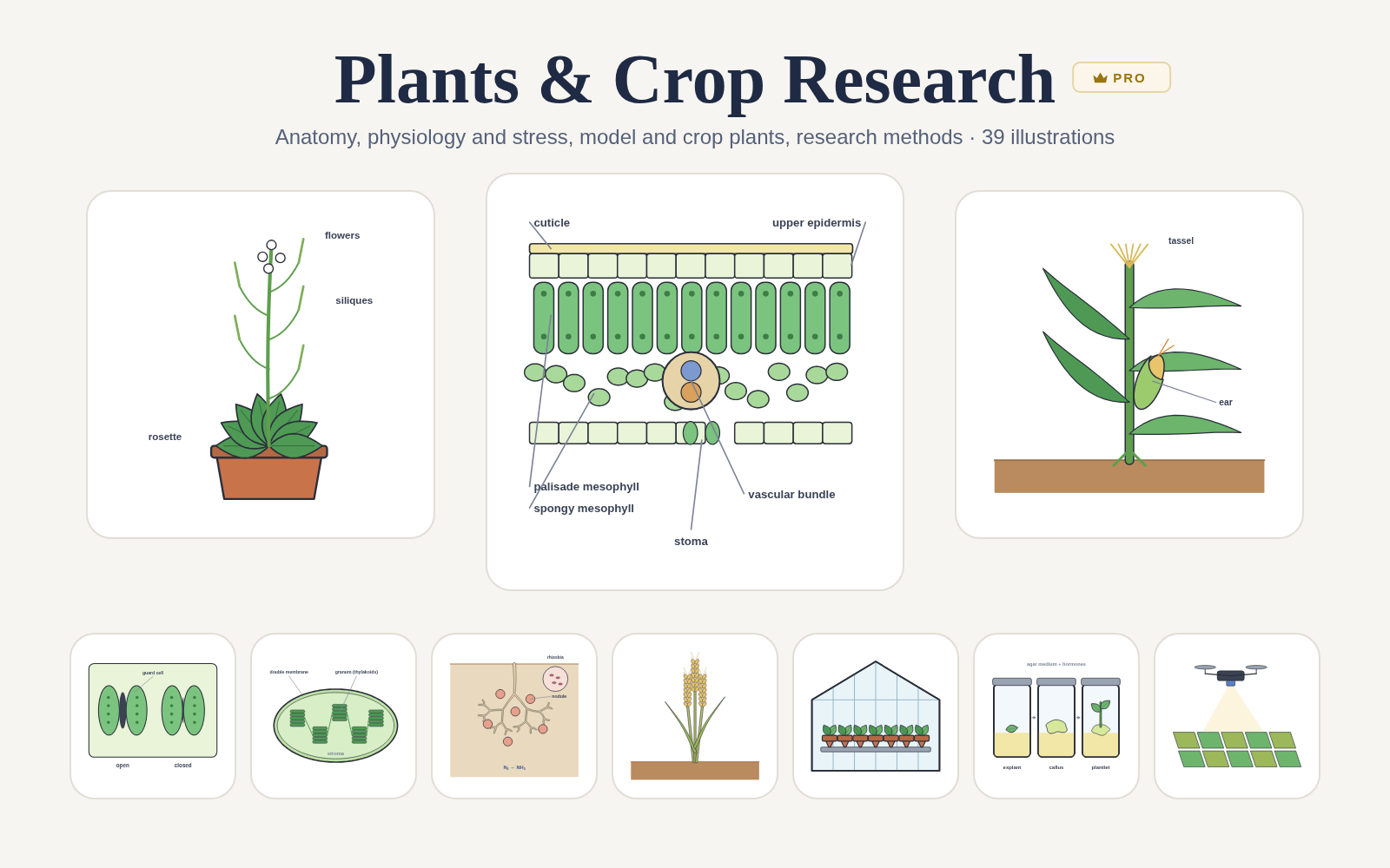 Plants & Crop Research pack cover
