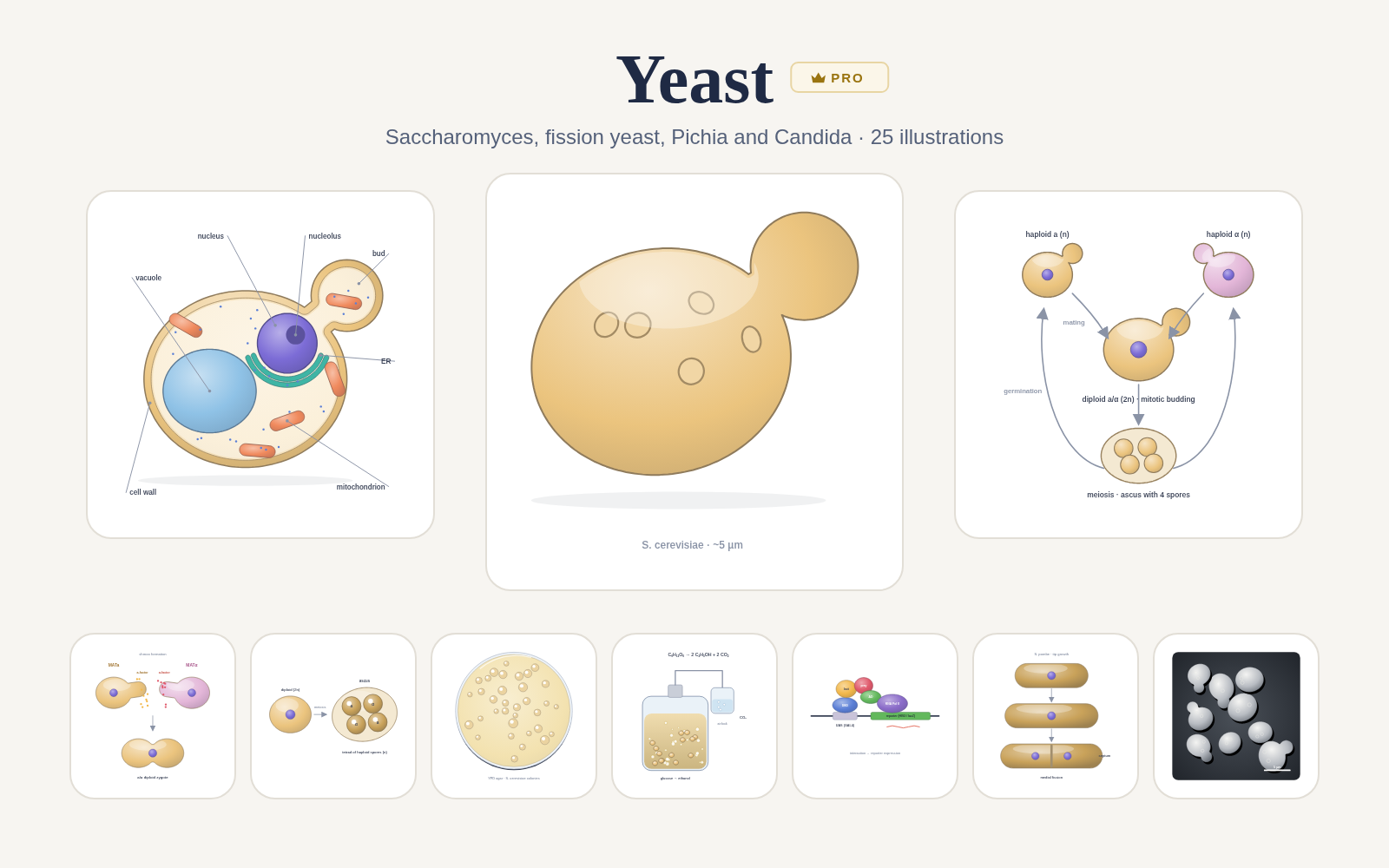 Yeast pack cover