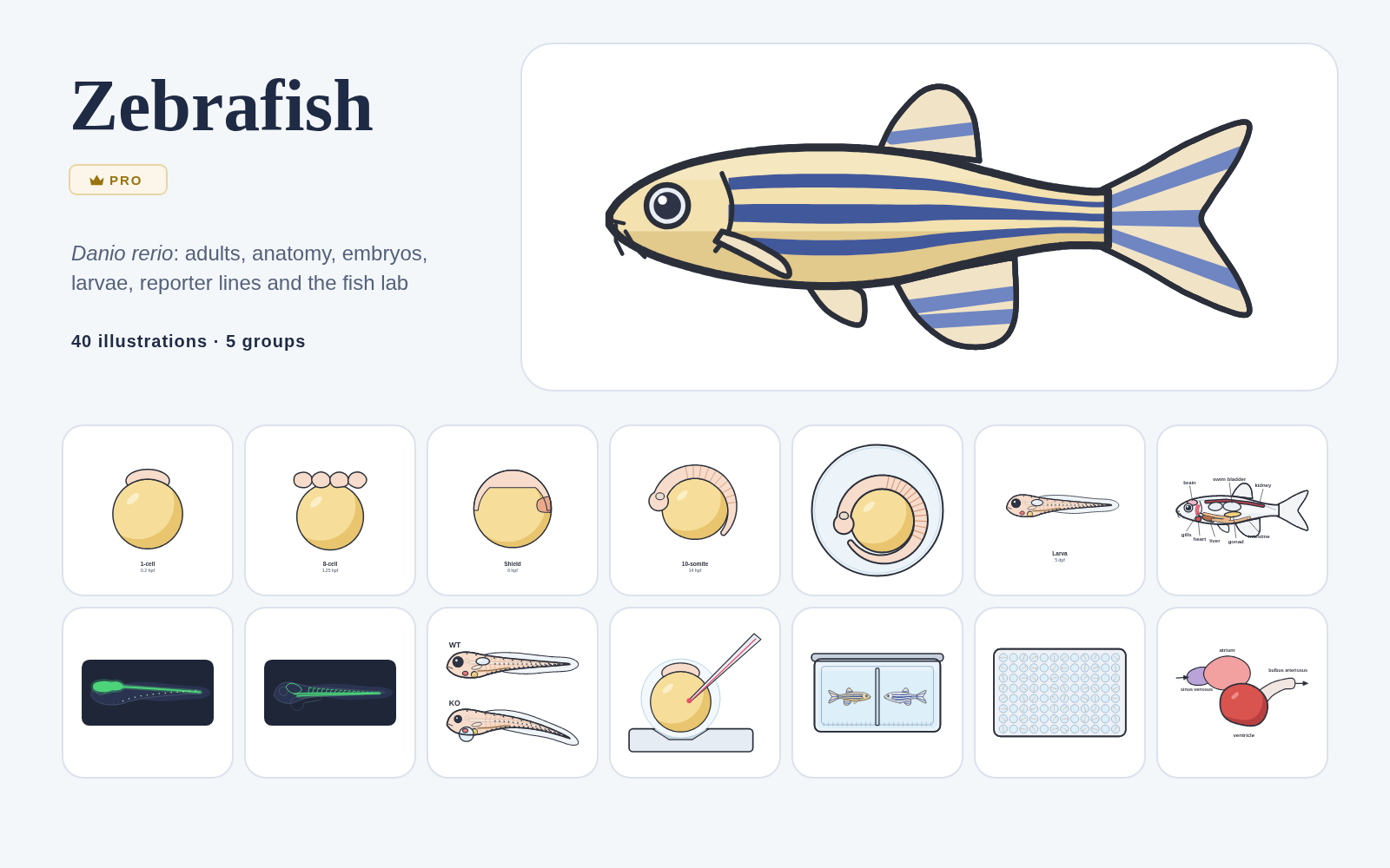 Zebrafish pack cover